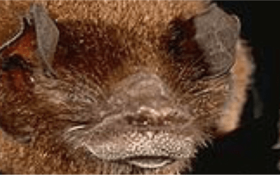 Invest in your eyes, you’re worth it!