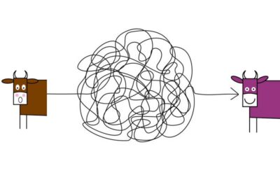 Change takes endurance: how to keep your consumers engaged